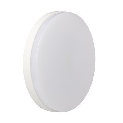 Hublot à LED d'extérieur CoreLine 12 W WL130 V
