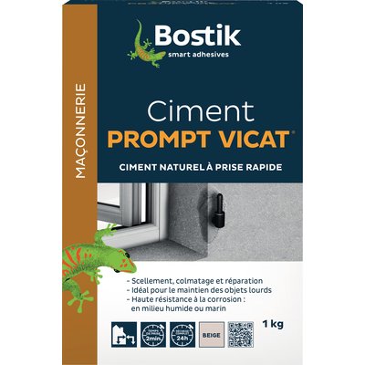 Ciment prompt vicat Bostik - Boîte 1 kg