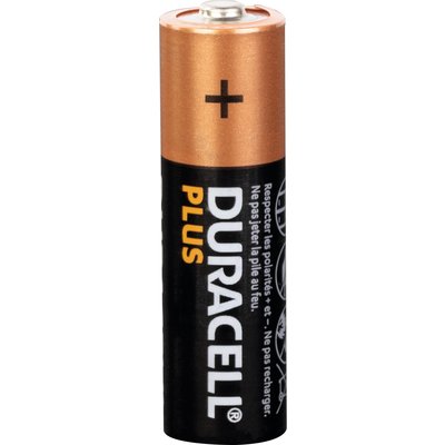 Piles Duracell Plus 100% AA