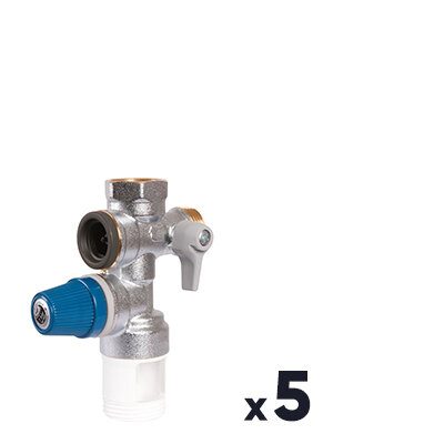 Groupe de sécurité - SIDER - Inox - Modèle droit - Lot de 5