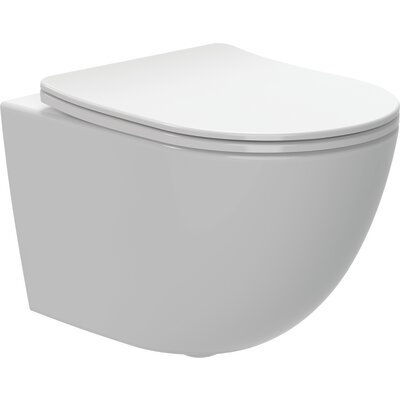 Cuvette suspendue - SIDER - Sans bride - L. 482 x l. 360 mm