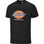 Miniatures photos de photos Tee-shirt Dennison Dickies - Noir - Taille L1