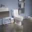 Miniatures photos de photos Broyeur sanitaire - 3 postes - 400 W - Watermatic W15SP2