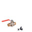 HC_$ 4 VANN PURG POIGN MM 1"