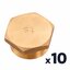 HC_$ 10 BOUCHON LAITON M12X17