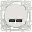 Miniatures photos de photos Chargeur USB double Type C+C 21W Power Delivery – SCHNEIDER ELECTRIC – ODACE – Blanc craie1