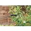Miniatures photos de photos Pulvérisateur - C5 - Capvert - A pression préalable - 5 l - Joint NBR3