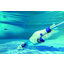 Miniatures photos de photos Aspirateur de piscine - Electric Vac - Gre2