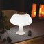Miniatures photos de photos Lampe Carafe Vase Loop - Link2