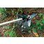 Miniatures photos de photos Accessoire lame 3 dents - DCK - Pour bloc moteur 58 V2
