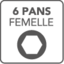 6 pans femelle