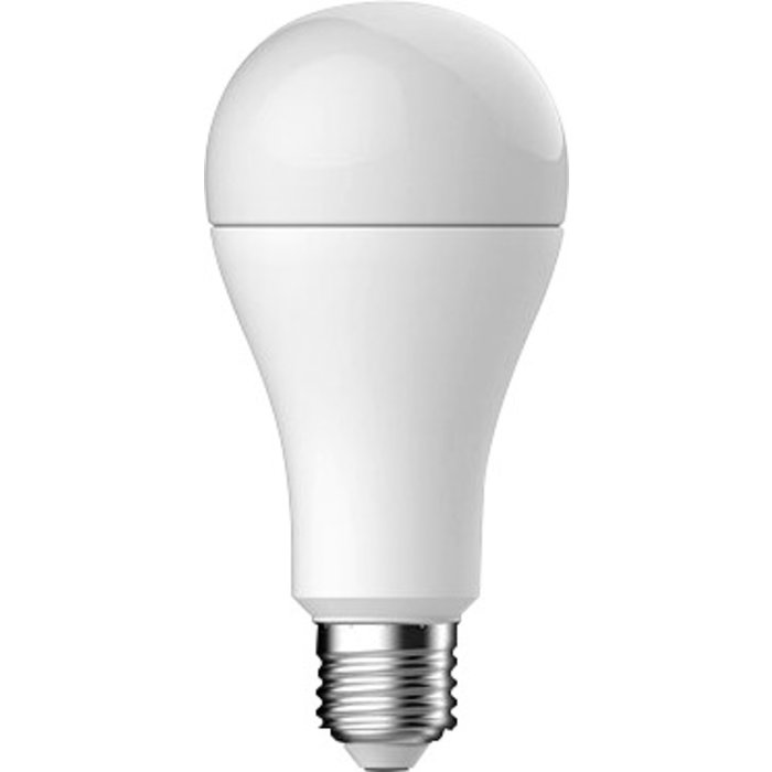 Ampoule LED standard E27-1