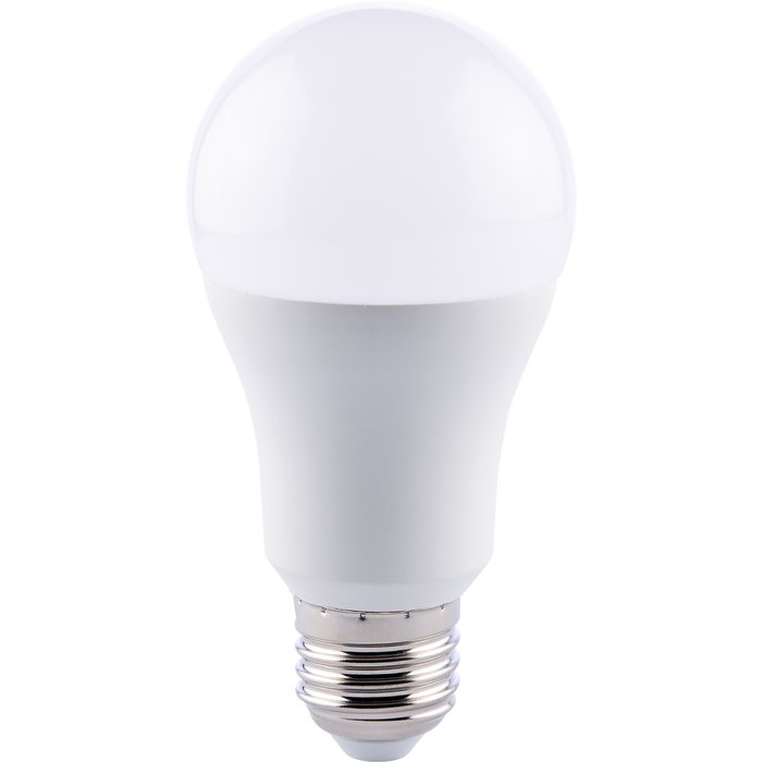 Ampoule LED standard E27 x 10