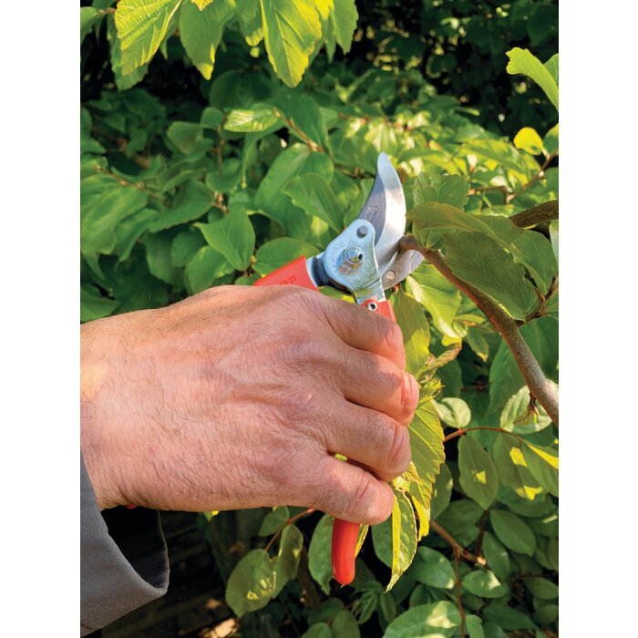 Sécateur branches acier trempé gainées plastique - BHACO - Longueur 200 mm-4