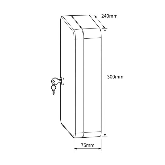 Armoire à clés - EXEM - Capacité 45 clés - Fixation murale - Gris anthracite RAL 7016-2