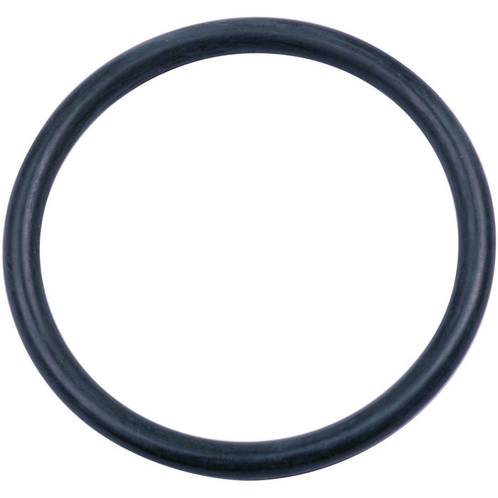 Joint torique de clapet - Ø 39 mm / 33 mm x 3 mm - Sachet de 20 pièces - Watts industries-2