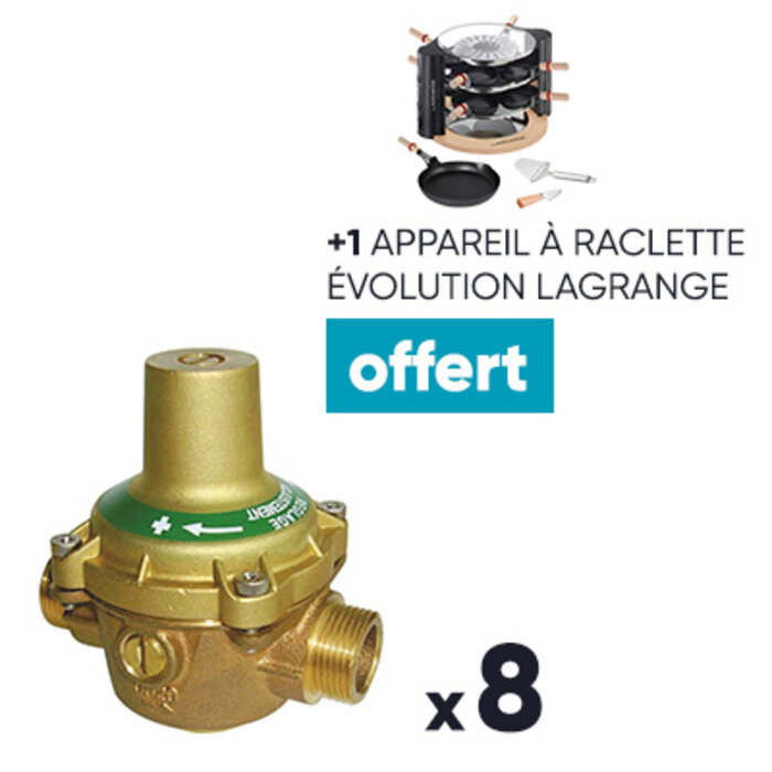 Réducteur de pression n°11 - Desbordes - Mâle / Mâle - 20X27 - Lot de 8 + 1 appareil à raclette Lagrange OFFERT