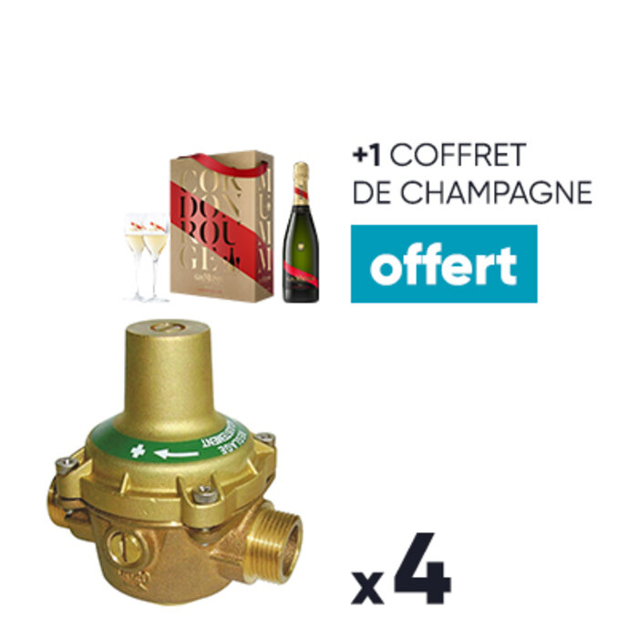 Lot de 4 réducteurs 11MM + 1 COFFRET DE CHAMPAGNE OFFERT-1