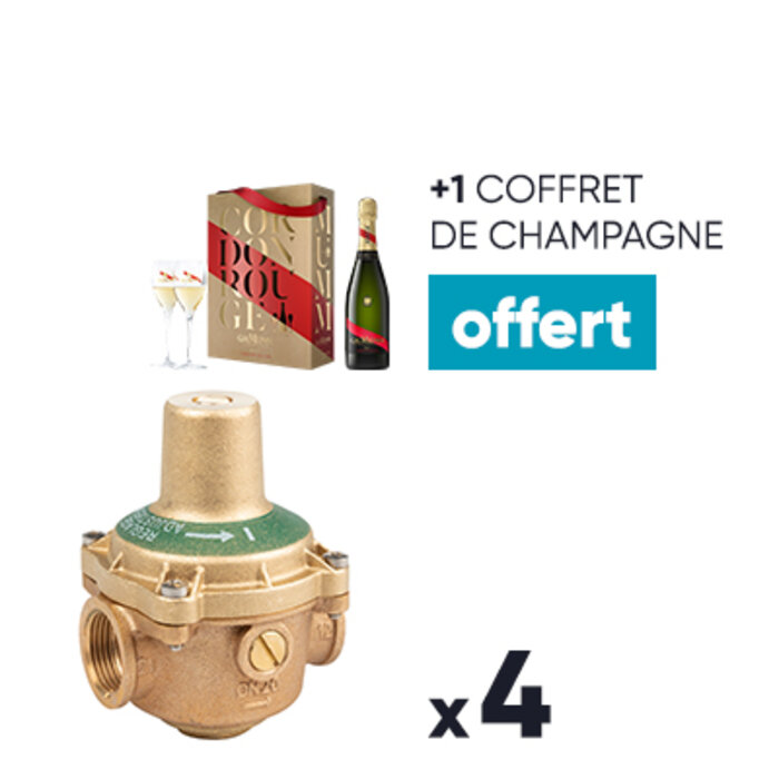 Lot de 4 réducteurs 11FF+ 1 COFFRET DE CHAMPAGNE OFFERT-1