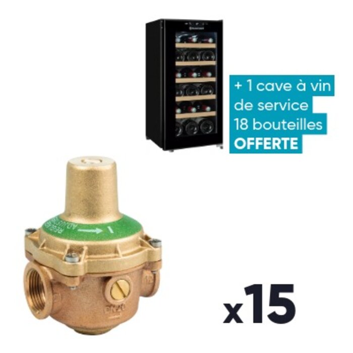 Lot de 15 réducteurs de pression - DESBORDES - N°11 BIS - FF 3/4" - + 1 cave à vin OFFERTE-1