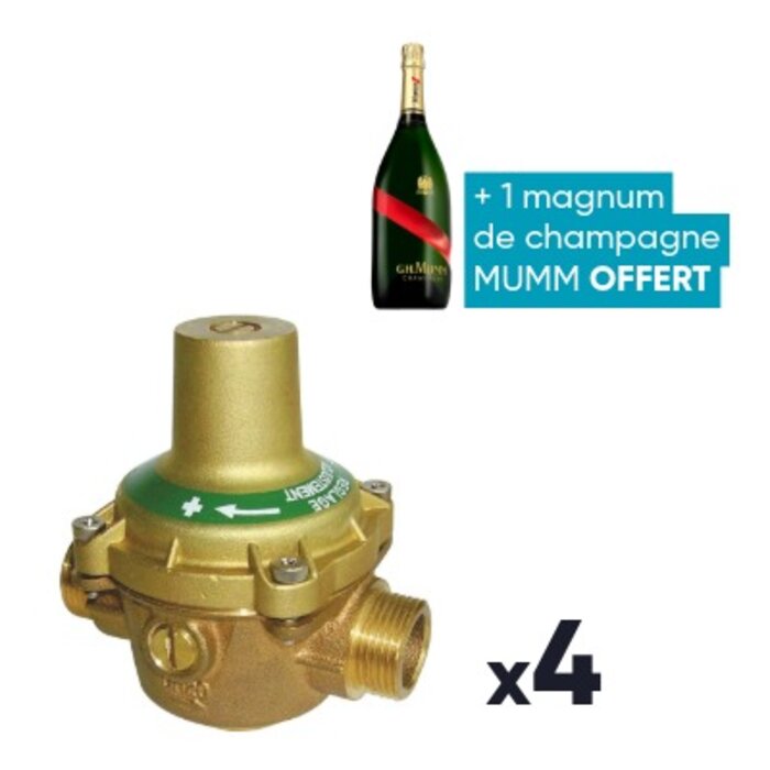 Lot de 4 réducteur de pression n°11 - DESBORDES - MM - DN 20 - + 1 magnum de champagne OFFERT-1