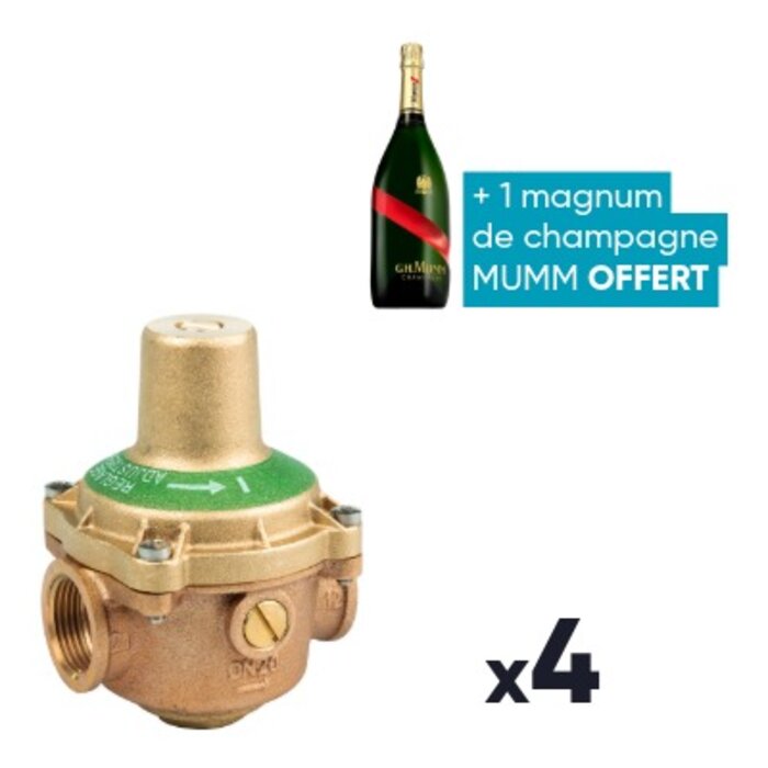 Lot de 4 réducteurs de pression - DESBORDES - N°11 BIS - FF 3/4" - + 1 magnum de champagne OFFERT-1