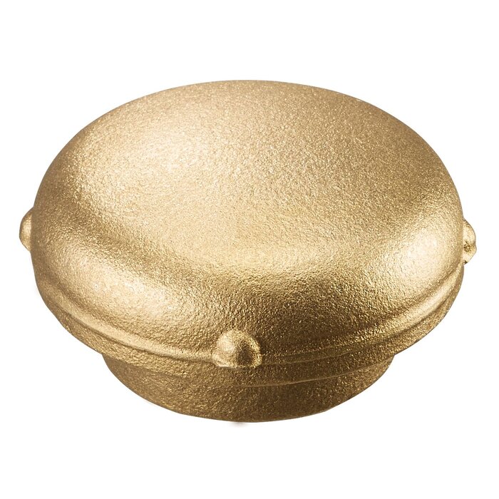 Bouchon d'event - OVENTROP - DN 25-1