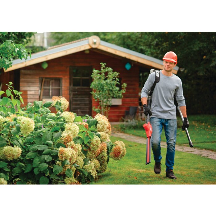 Taille-haies sur perche sans fil 0640 CA - Skil-8