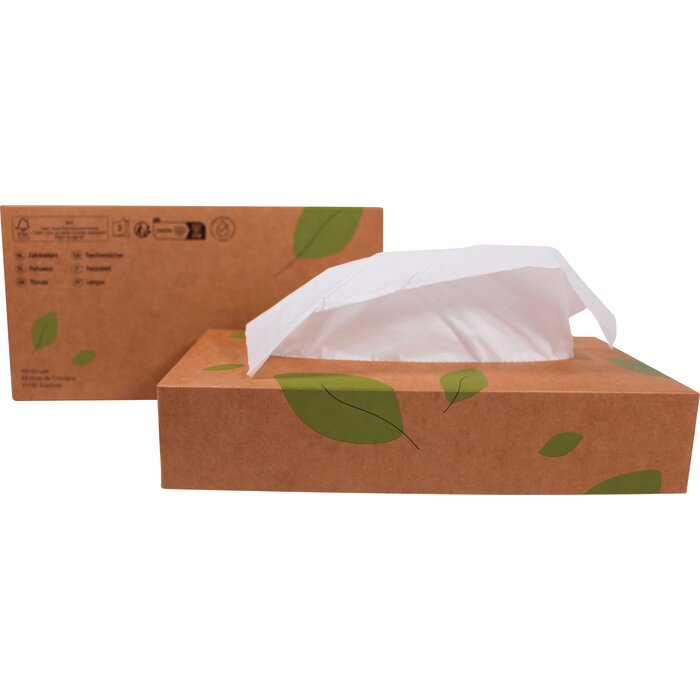 Mouchoirs extra blancs double épaisseur – GLOBAL HYGIÈNE – boîte de 100-1