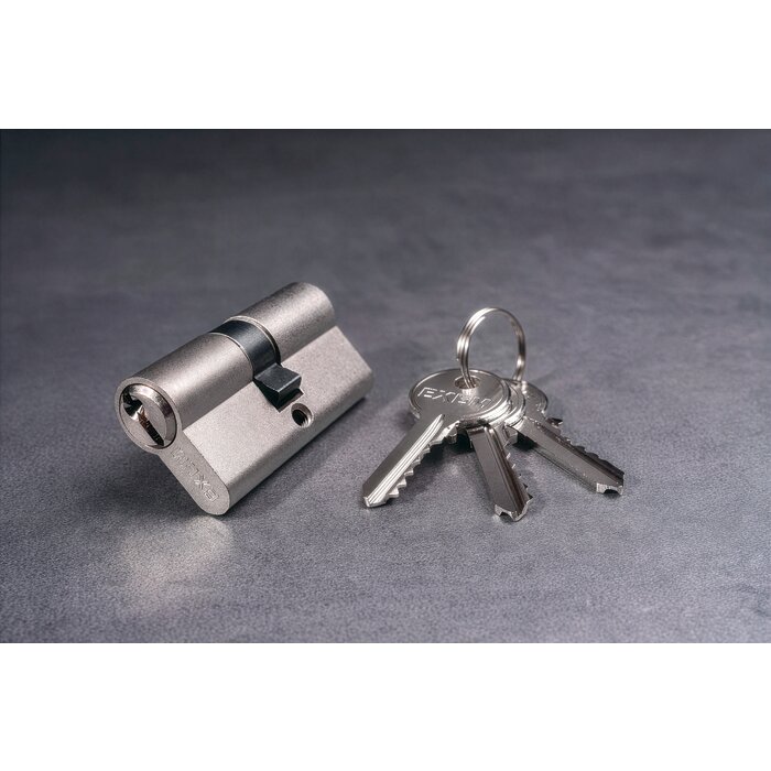 Cylindre 2 entrées 5G - Exem - Panneton PM2 - Laiton nickelé - Varié - 30 x 30 mm-2