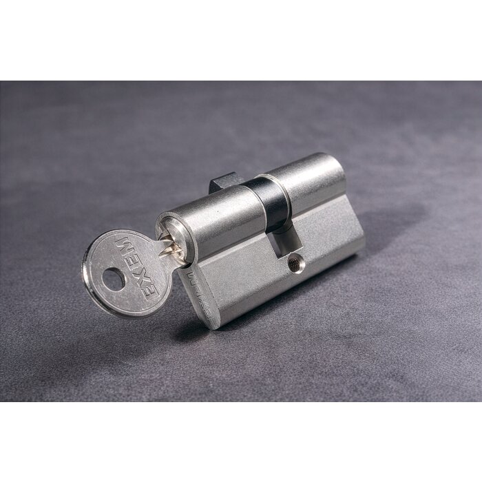 Cylindre 2 entrées 5G - Exem - Panneton PM2 - Laiton nickelé - Varié - 30 x 30 mm-3