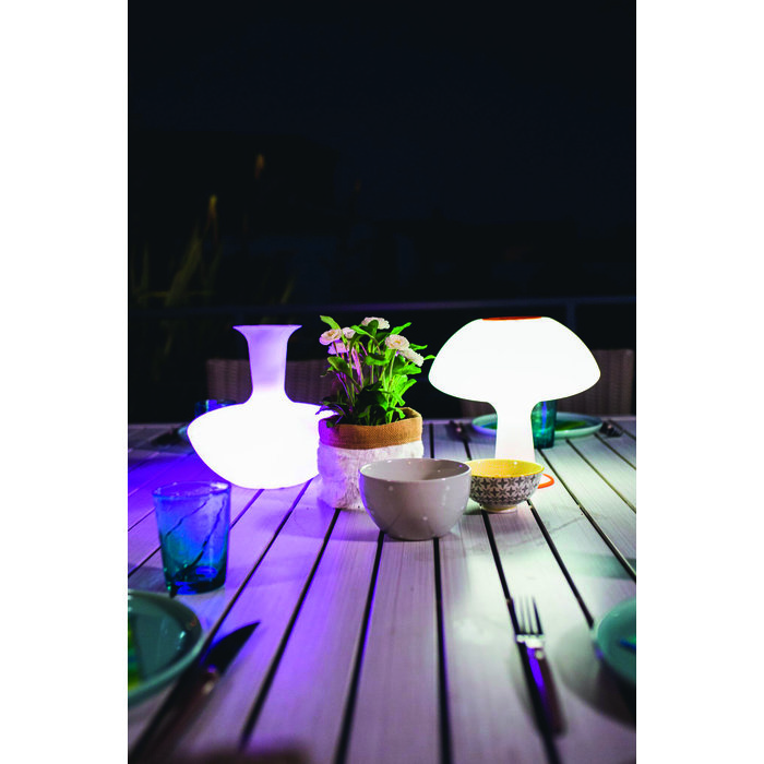 Lampe Carafe Vase Loop - Link-4
