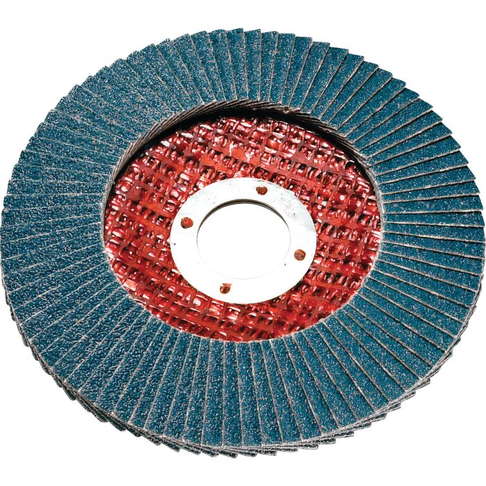 Disque à lamelles – SIA – Ø 125 mm-1