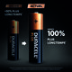 Piles Duracell Plus 100% - AA - LR06 - Alcaline