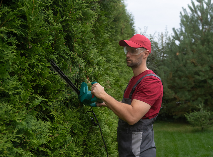 Matériel jardinage pro : que trouver sur notre site SIDER ?
